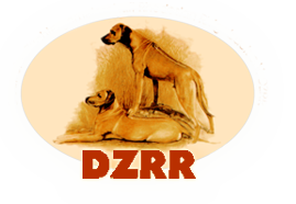 DZRR Ergebnisauswertung Zuchtzulassungsprüfung - Ayaro of Kimbunga Kifahari